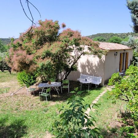 Maison Dans La Provence Verte 科蒂尼亚克 外观 照片